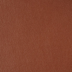 COSTO 0.8 mm Brown