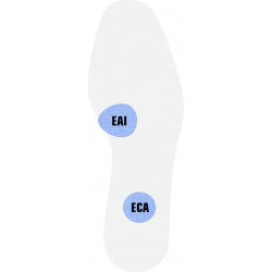 INTERNAL ANTERIOR ELEMENT...