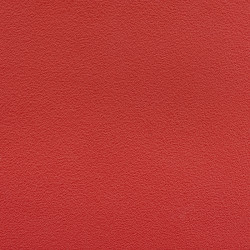 PROGRIP® 0.8MM ROUGE