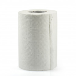 ROLL OF PAPER TOWELS