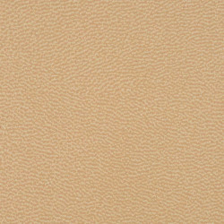 AMF Plus Beige